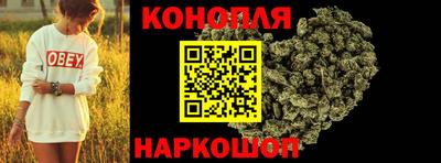 ECSTASY Обь
